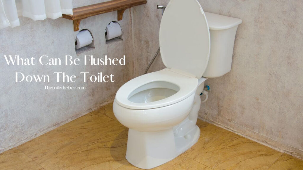 What Can Be Flushed Down The Toilet (2) (1)