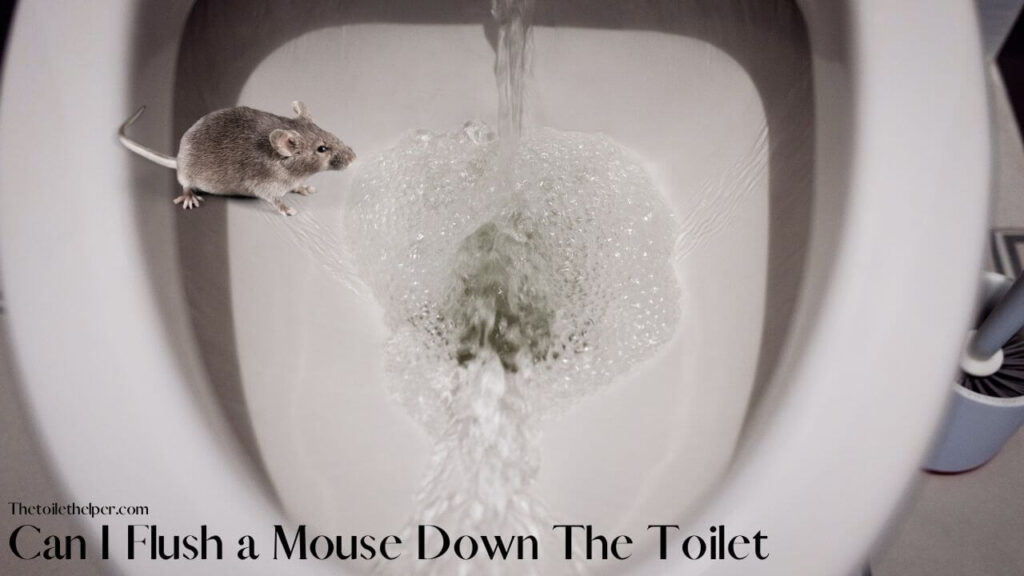 can i flush a mouse down the toilet
