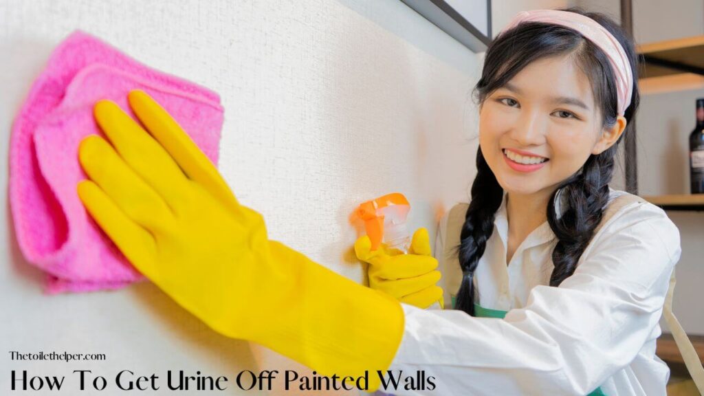 How To Get Urine Off Painted Walls (1)