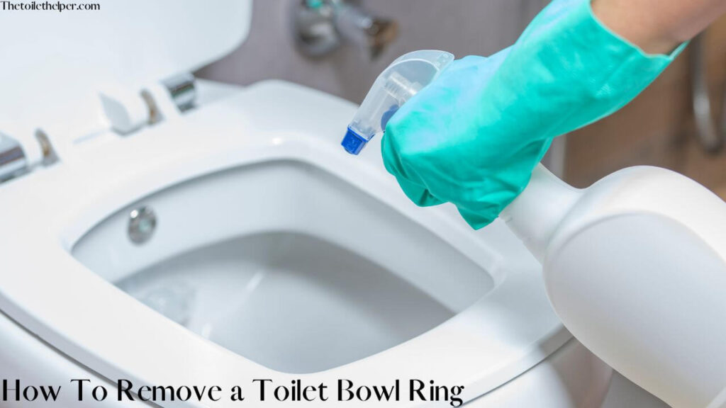 How To Remove a Toilet Bowl Ring (1)