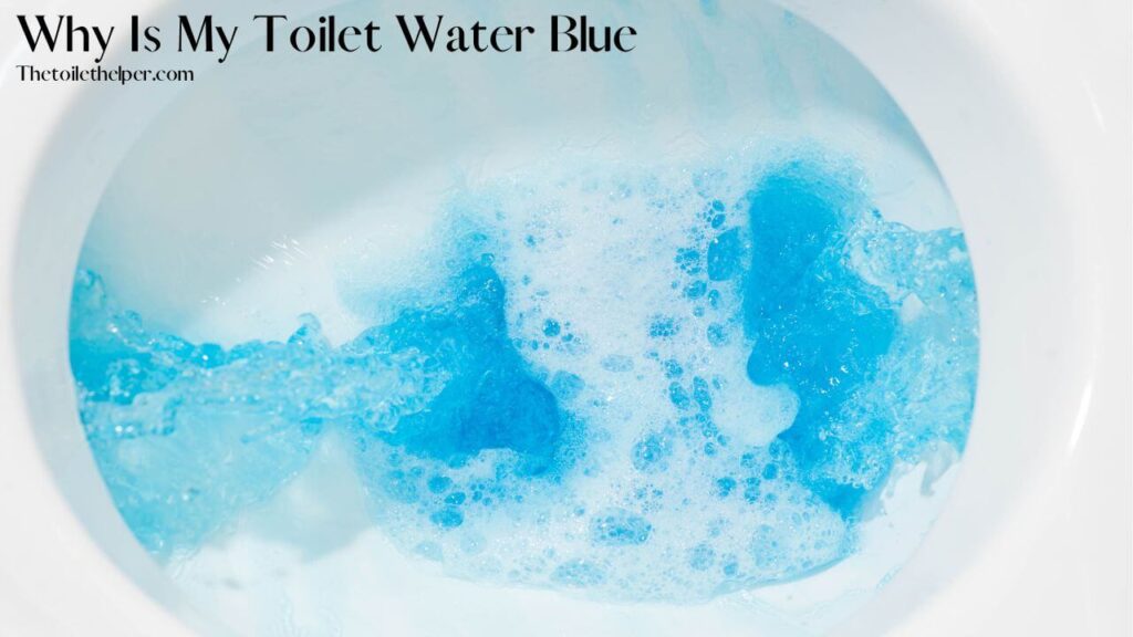 Why Is My Toilet Water Blue
