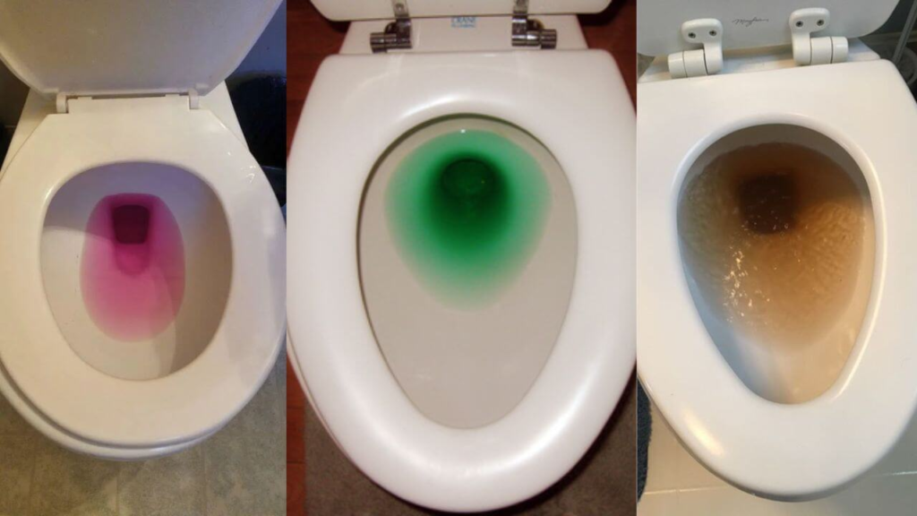 Can Toilet Water Turn Into Other Colors?