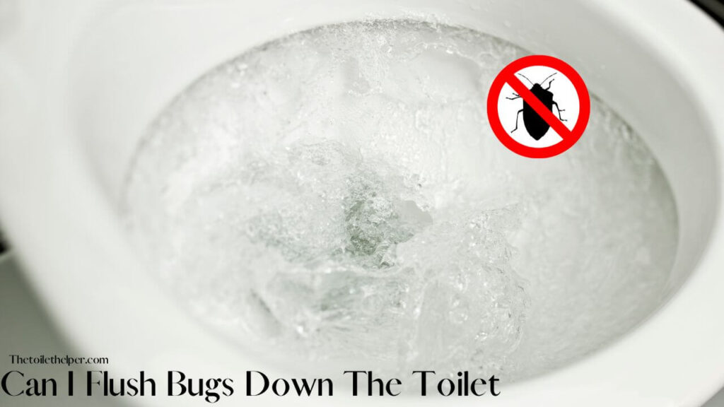 Can I Flush Bugs Down The Toilet