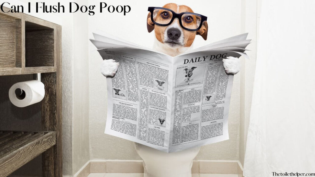 Can I Flush Dog Poop