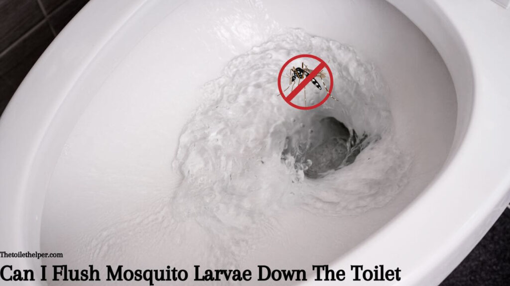Can I Flush Mosquito Larvae Down The Toilet