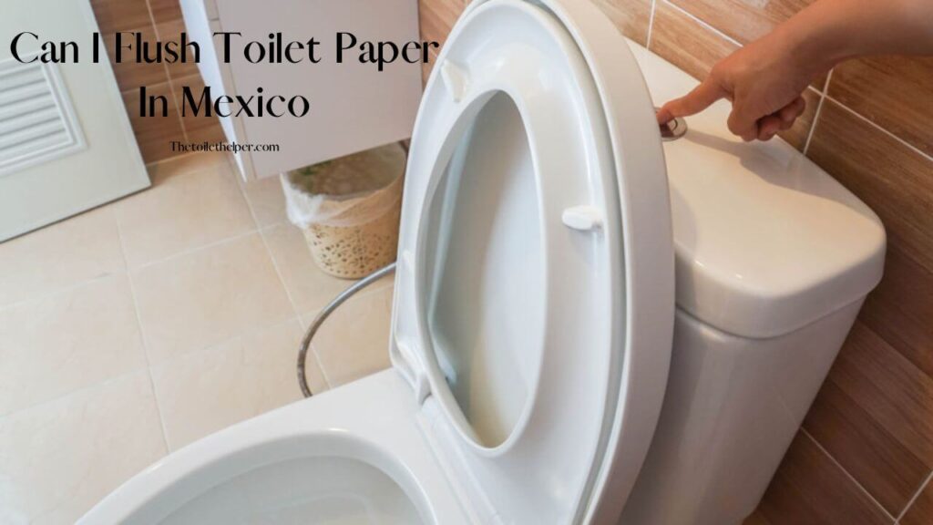 Can I Flush Toilet Paper In Mexico