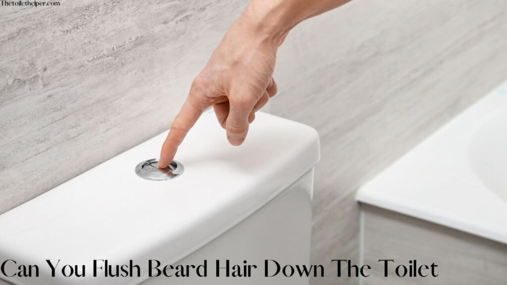 Can You Flush Beard Hair Down The Toilet (4) (1)