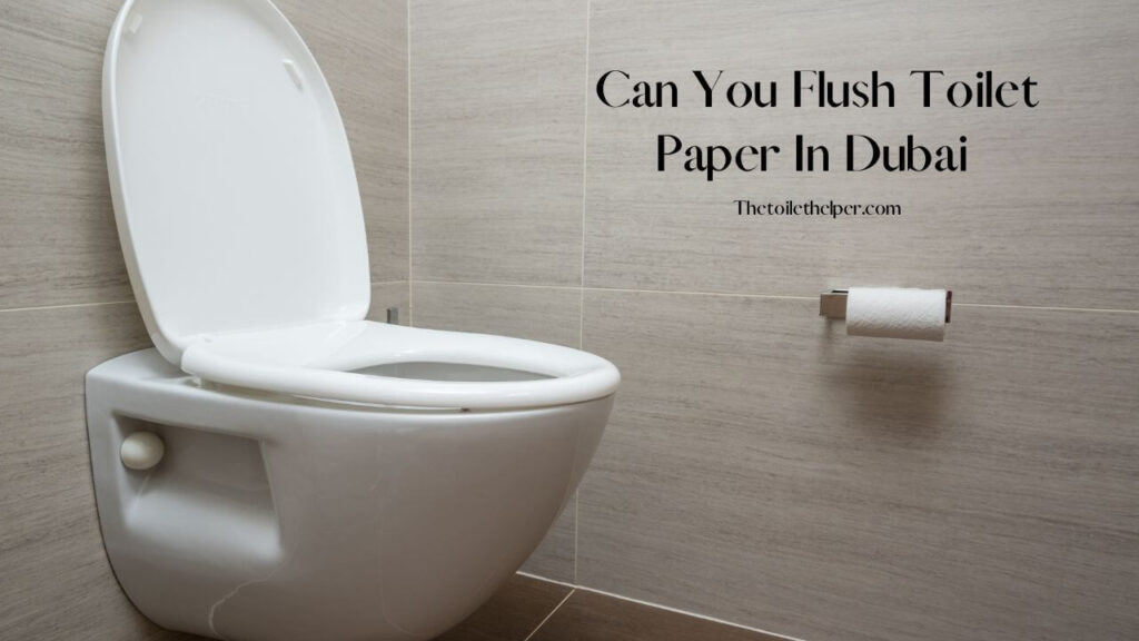 Can You Flush Toilet Paper In Dubai 