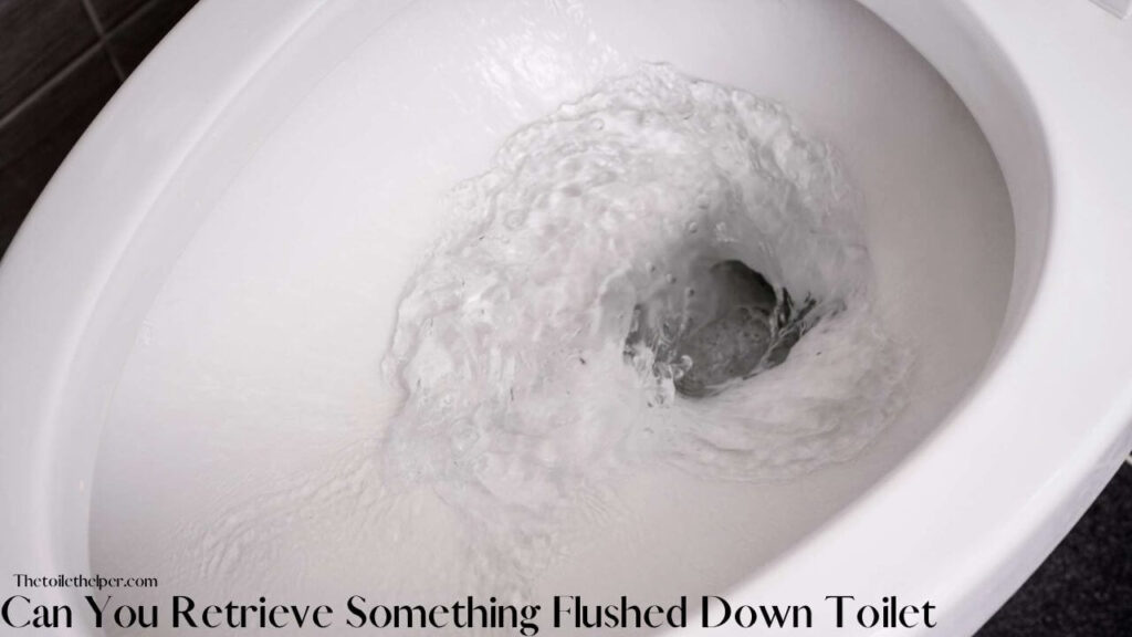 Can You Retrieve Something Flushed Down Toilet