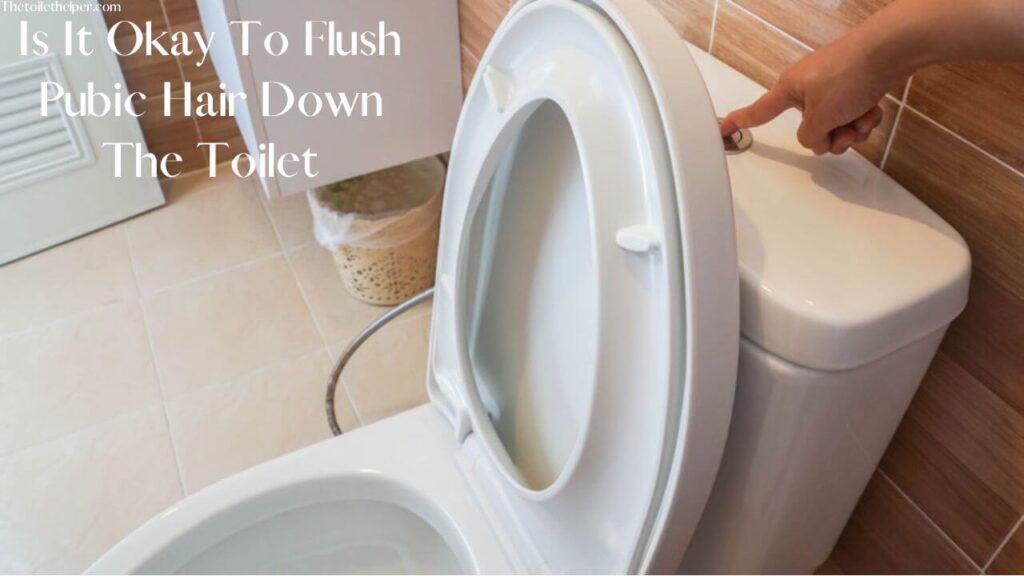 Is It Okay To Flush Pubic Hair Down The Toilet