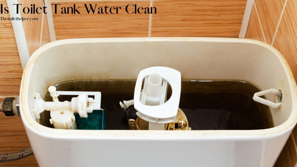 Is Toilet Tank Water Clean