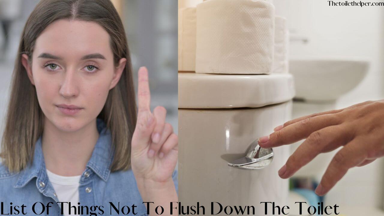 List Of Things Not To Flush Down The Toilet