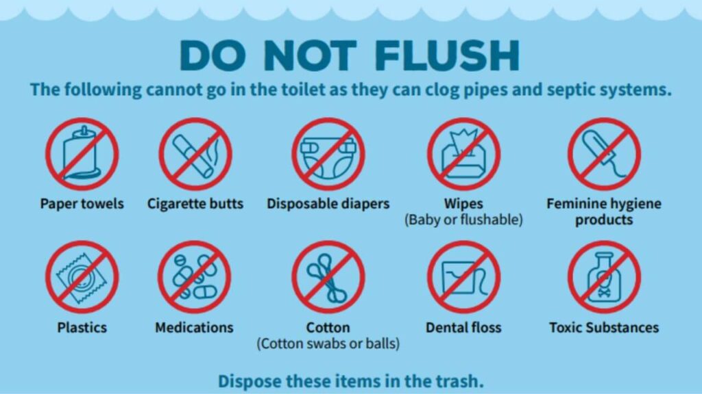 What Should I Not Flush Down The Toilet | List Of 20 Items