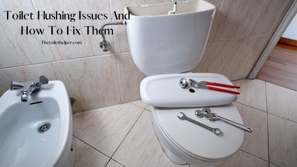 Toilet Flushing Issues