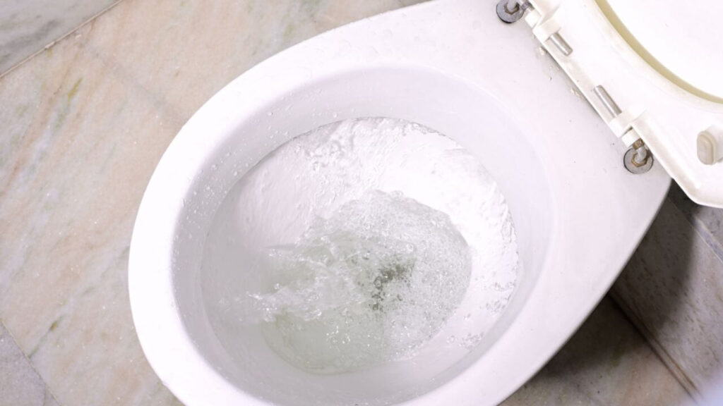 What Happens If You Flush Something Down A Toilet?