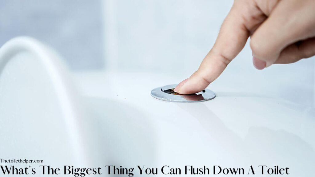 What's The Biggest Thing You Can Flush Down A Toilet