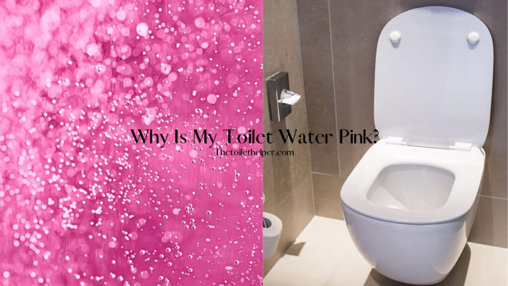 Why Is My Toilet Water Pink