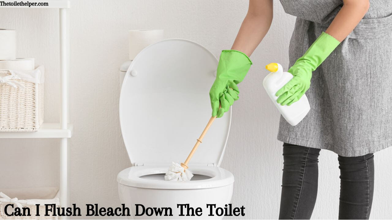 Can I Flush Bleach Down The Toilet