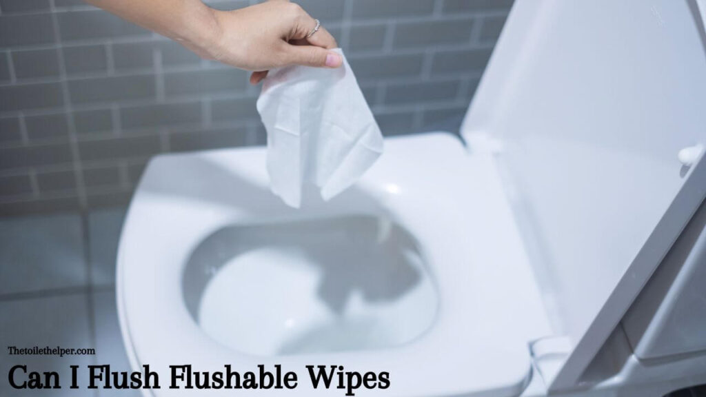 Can I Flush Flushable Wipes