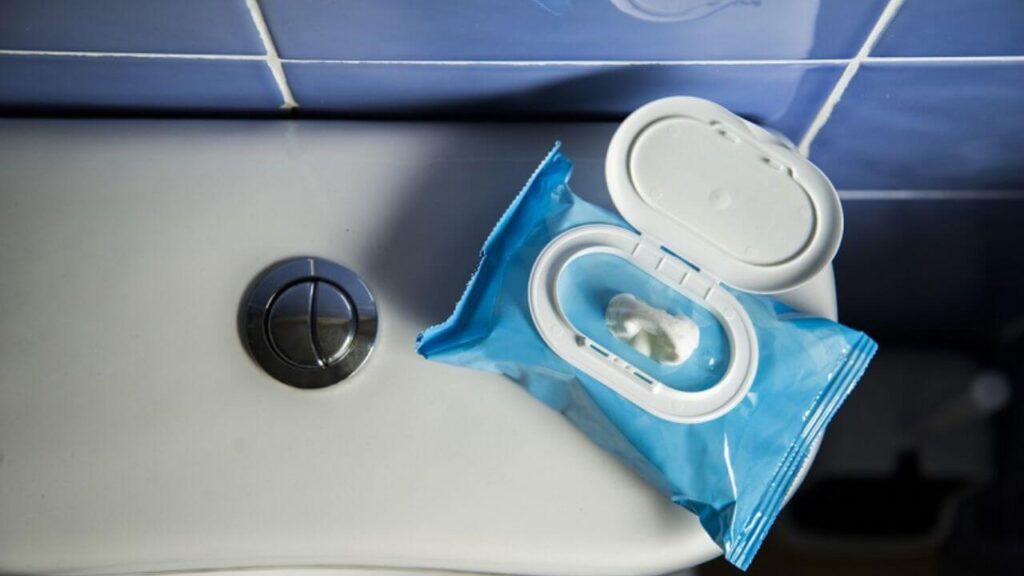 Are Flushable Wipes Safe To Flush?