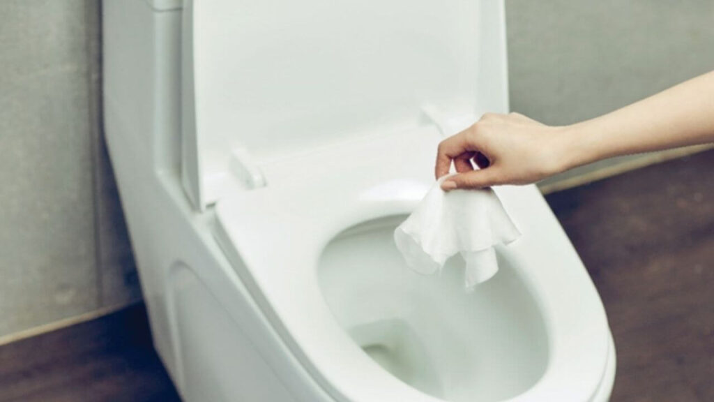 Will Flushable Wipes Eventually Dissolve?