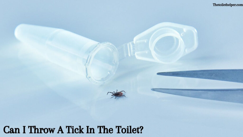 Can I Throw A Tick In The Toilet (4) (1)