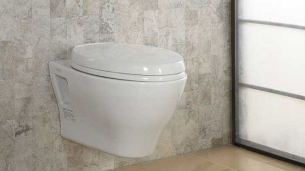 A Tankless Toilet