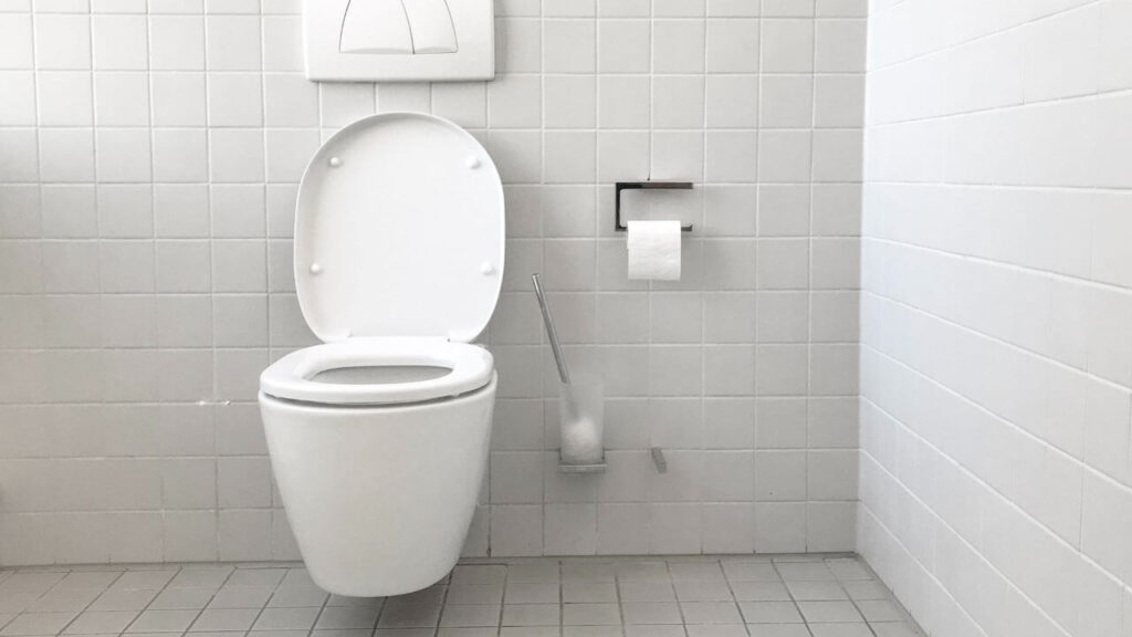 How Do You Flush A Tankless Toilet?