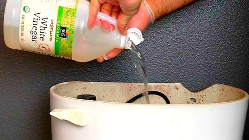 Is It Ok To Put Vinegar In The Toilet Tank?