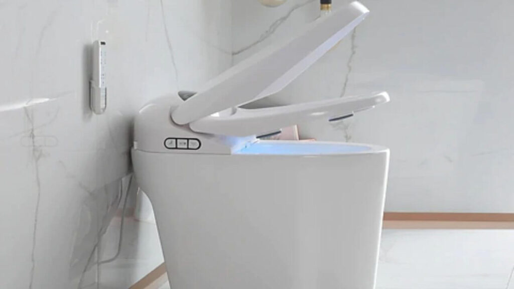What Is A Tankless Bidet?