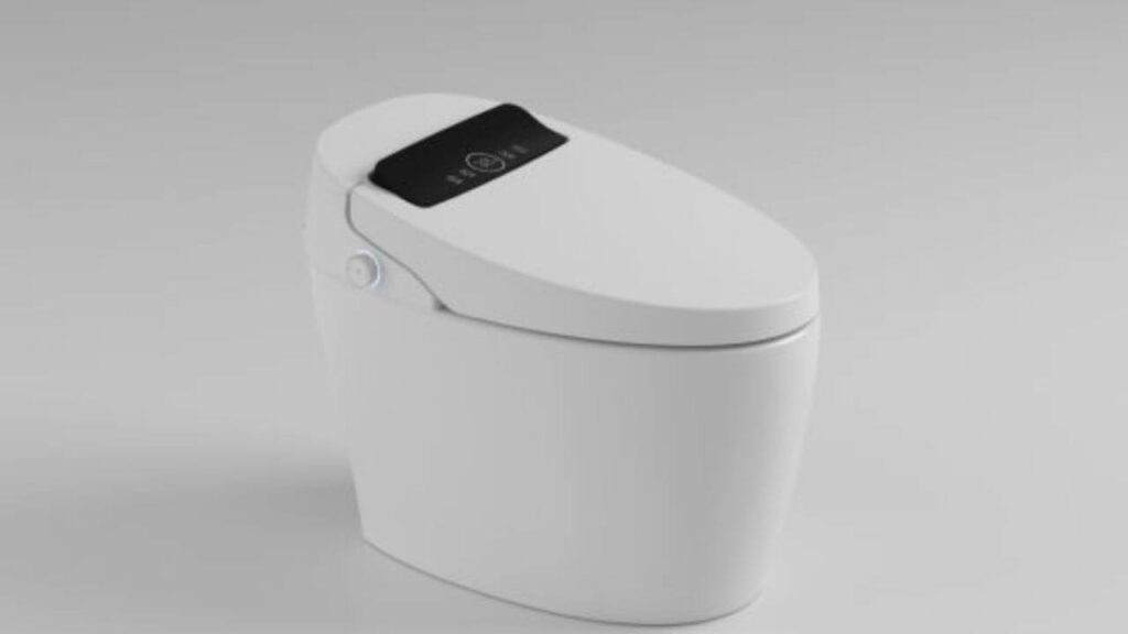 Are Bidets Compatible With All Toilets?