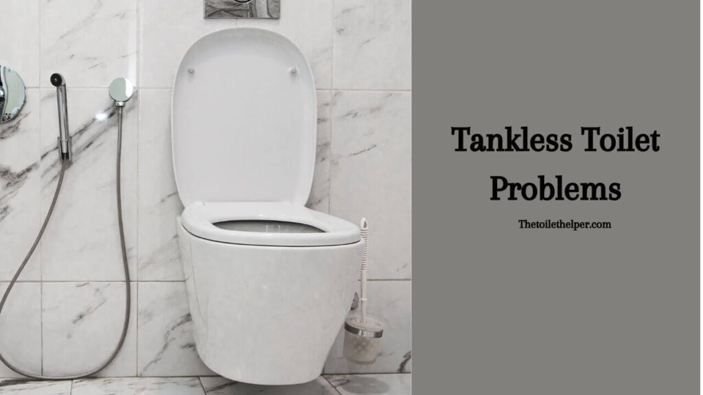 Tankless Toilet Problems
