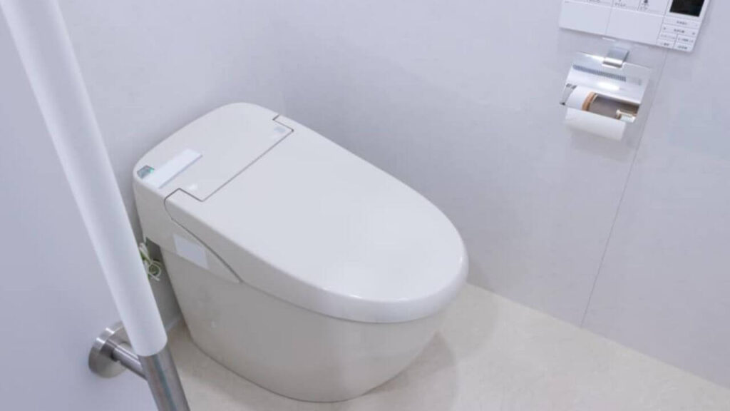 Tankless Toilets: Why Are They So Popular?